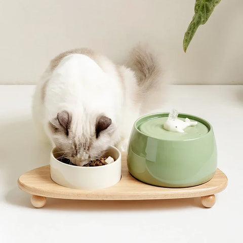 Fontaine à Eau Chat Verte en Céramique avec Baleine sur un socle en bois avec un chat mangeant à côté