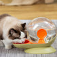 Fontaine à Eau pour Chat Design Escargot