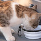 Gamelle chat  de voyage pliante 350ml