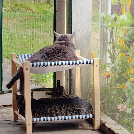 Hamac chat à 2 étages