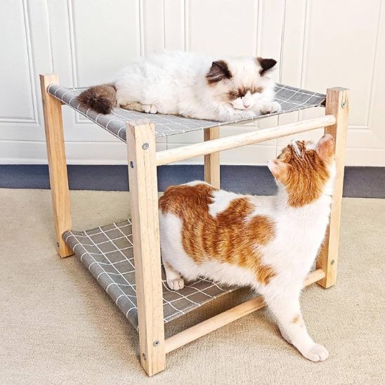 Hamac chat à 2 étages