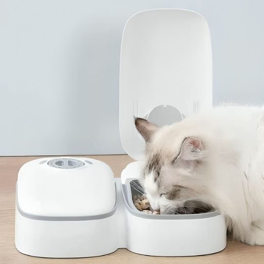 Distributeur  de croquettes pour chat automatique | SmartFeed