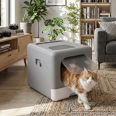 Maison de toilette pour Chat 