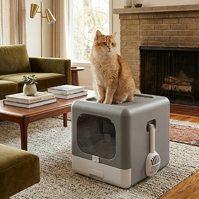 Maison de toilette pour Chat 