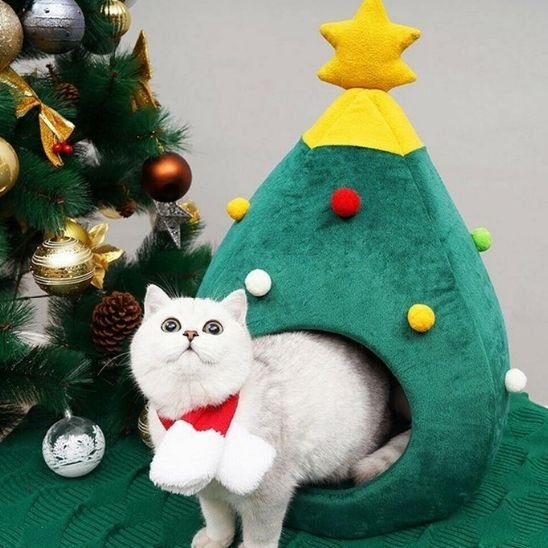 Maison pour chat Sapin