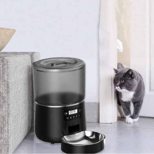 Distributeur automatique croquettes chat | FeliFeed