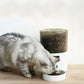 Distributeur automatique croquettes chat | FeliFeed