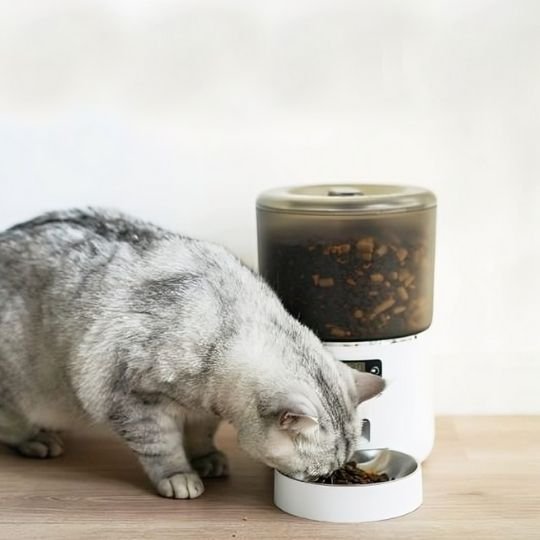 Distributeur automatique croquettes chat | FeliFeed