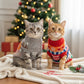 Pull pour Chat de Noël