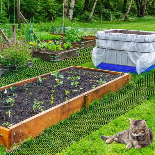 chat tenu à l'écart dans un potager grâce aux tapis doté de picots qui empêche les animaux de s'approcher
