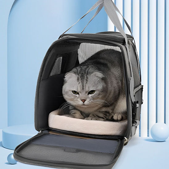 Sac de Transport pour Chat avec Bandoulière