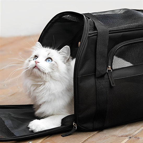 Sac de Transport pour Chat avec Bandoulière