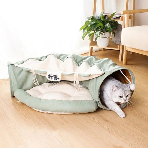 Tunnel pour Chat Pliable avec Lit avec un chat dedans posé sur un sol en parquet et avec une plante en fond