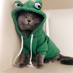 Manteau pour chat frog
