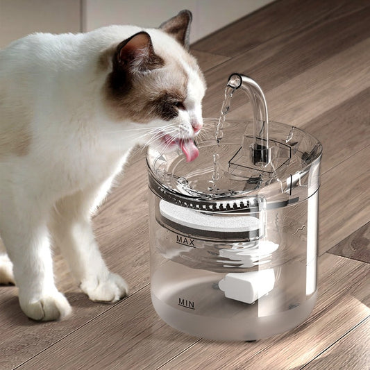 chat qui hydrate dans une fontaine à eau entierement transparente