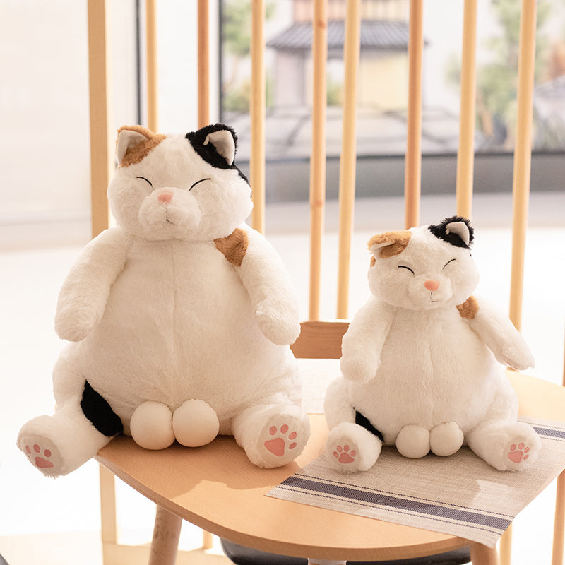 Peluche chat sumo