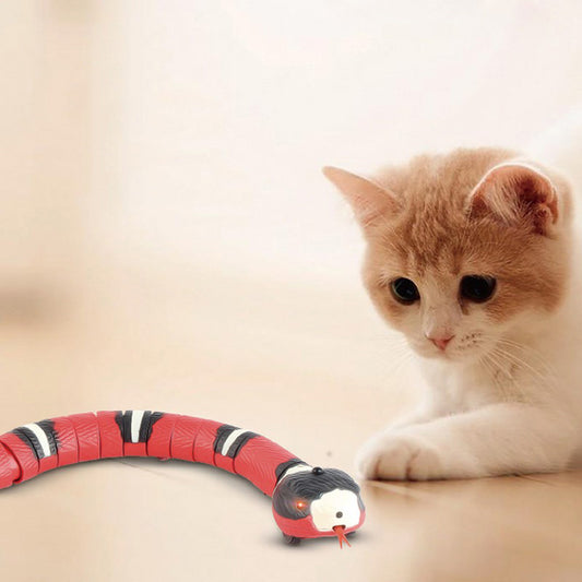 Jouet-interactif-chat-Smart-Snake-detection-intelligente