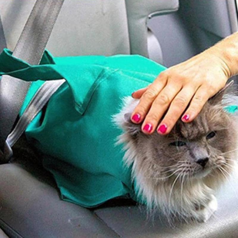 Sac-de-Transport-Chat-Bandouliere-voiture