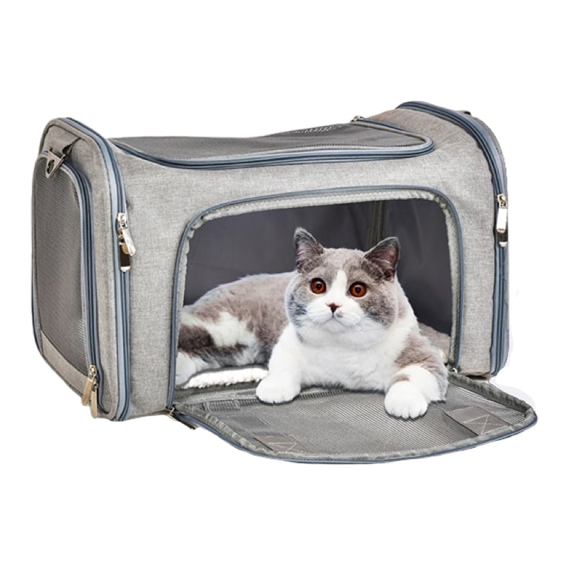 Sac-de-Transport-Chat-Design