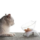 Gamelle orthopédique chat