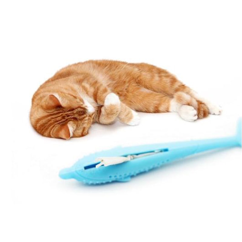 Brosse à Dent Pour Chat Dauphin