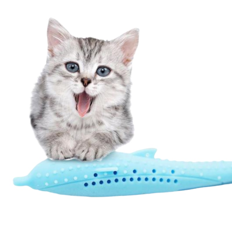 Brosse à Dent Pour Chat