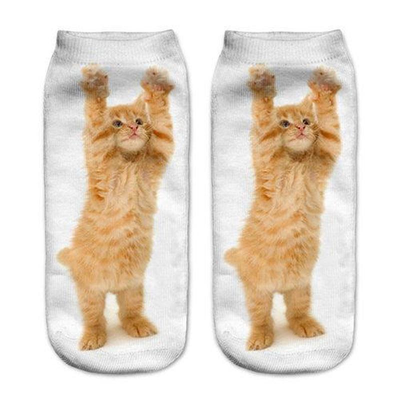 Chaussettes Chat Drôle Strech