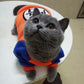Manteau pour chat sayan