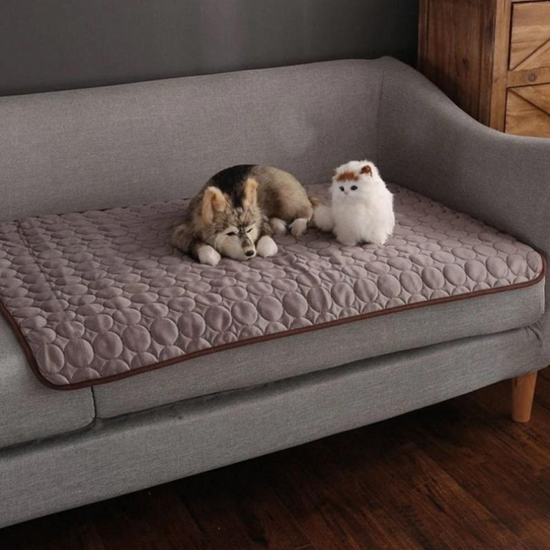 Couverture pour Chat Rafraichissante