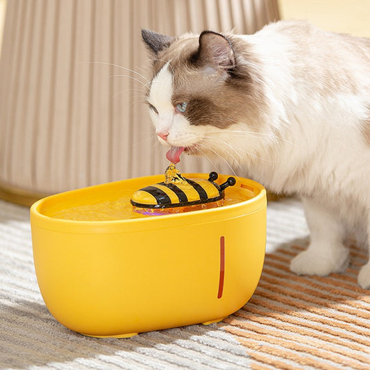 Fontaine à eau pour chat abeille