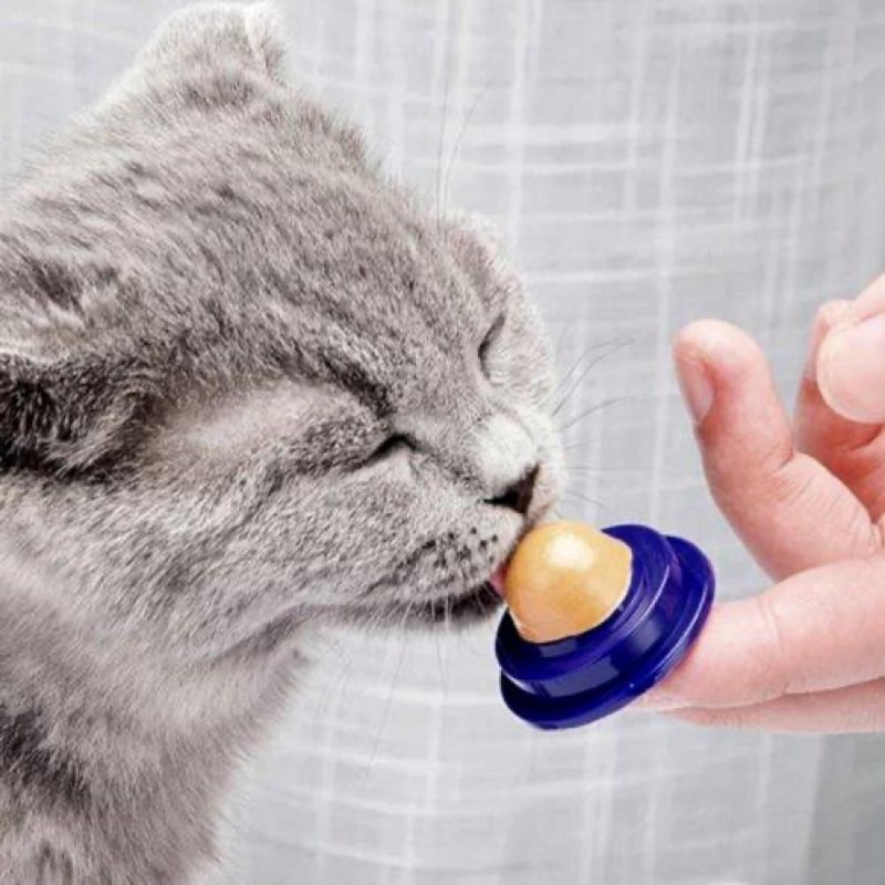 Friandise Pour Chat Riche en Vitamines