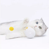 Jouet Chat Interactif Roly-Poly™