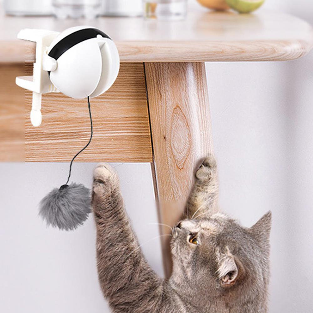 Jouet interactif pour chat smart yoyo