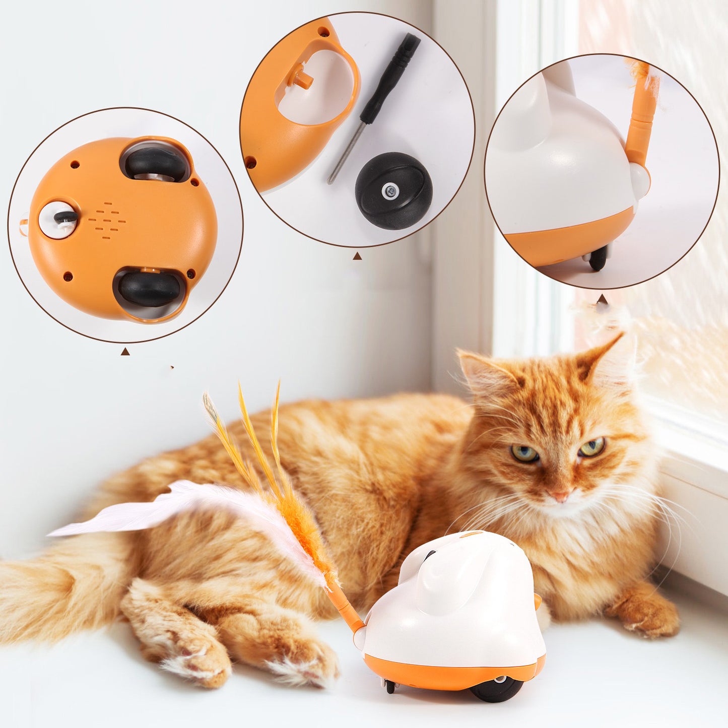 Jouet interactif pour chat smart pilou