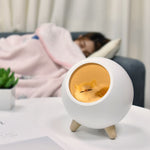 Lampe Veilleuse Chat