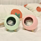 Lampe Veilleuse Chat