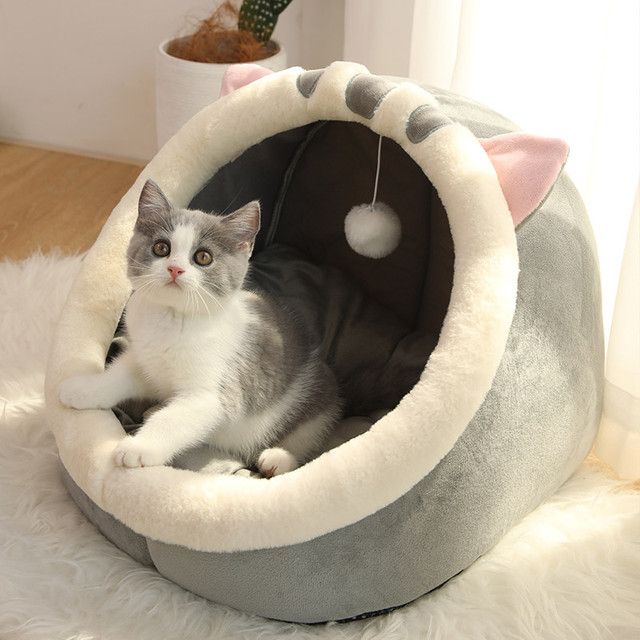 Adorable chaton gris et blanc assis dans un couchage avec un coussin moelleux au fond du panier