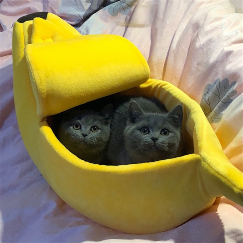 Panier Banane Pour Chat