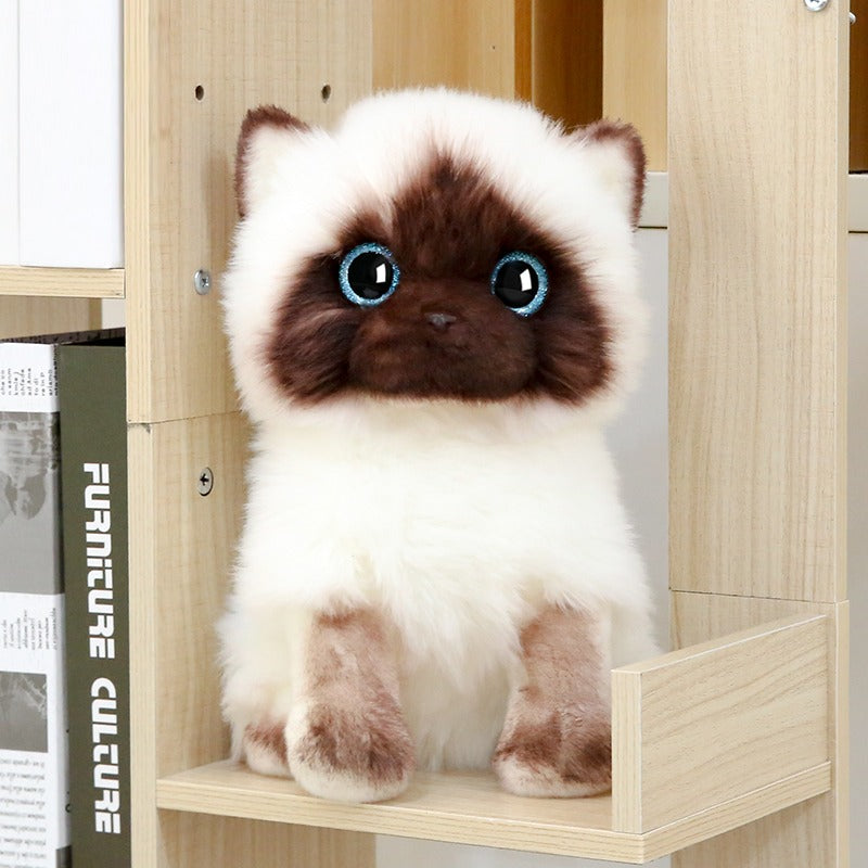 Peluche chat siamois réaliste