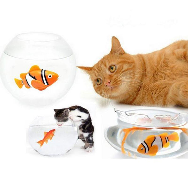 Poisson pour chat | CatsFish™