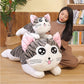 Coussin chat yeux brillants