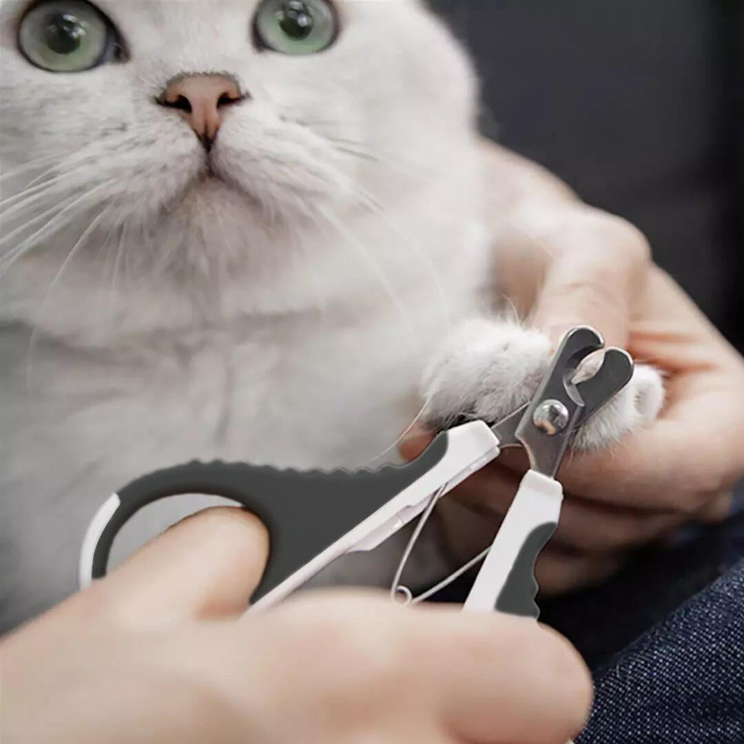 Coupe griffe pour chat en silicone