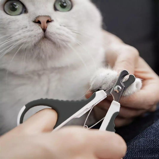 Coupe giffres pour chat en silicone