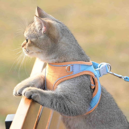 Harnais pour chat en maille douce et respirante