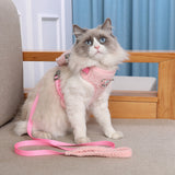 Harnais pour chat chic