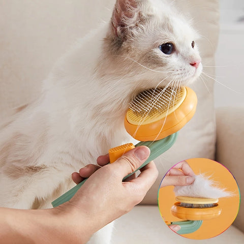 Brosse pour chat en forme de citrouille