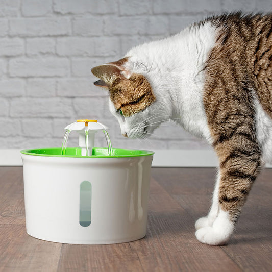 Fontaine d'eau pour chat automatique avec fleur