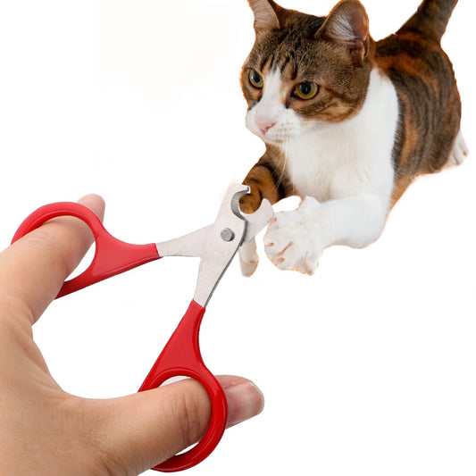 Coupe giffres pour chat ciseaux