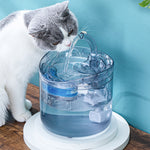 Fontaine à eau transparent pour chat