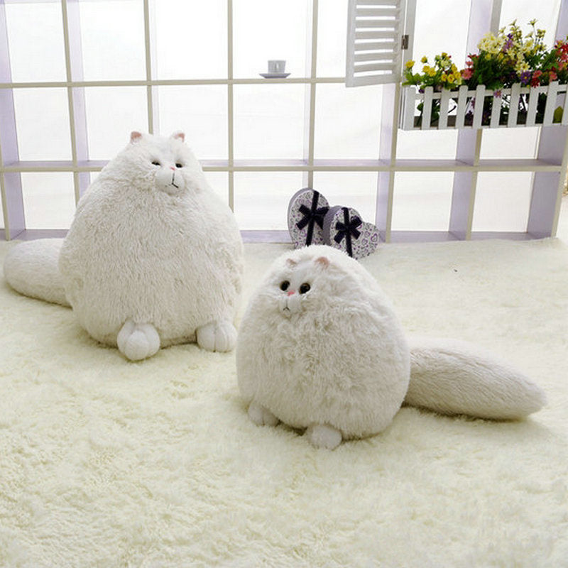 Peluche chat blanc super rond